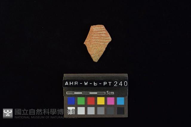 陶片藏品圖，第3張