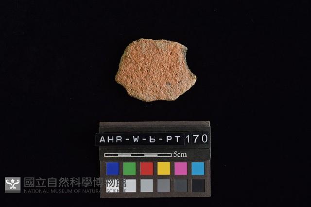 陶片藏品圖，第3張