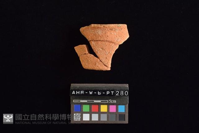 陶片藏品圖，第3張