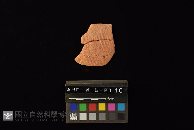 陶片藏品圖，第4張
