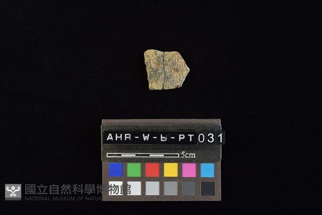 陶片藏品圖，第4張