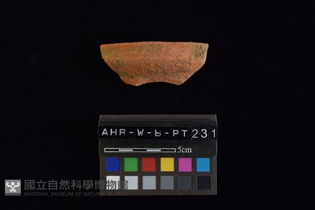 陶罐藏品圖，第4張