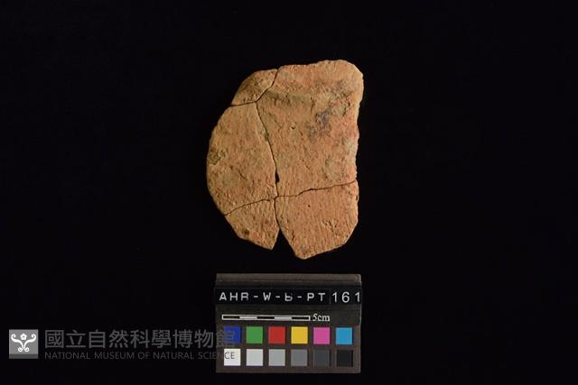 陶片藏品圖，第3張