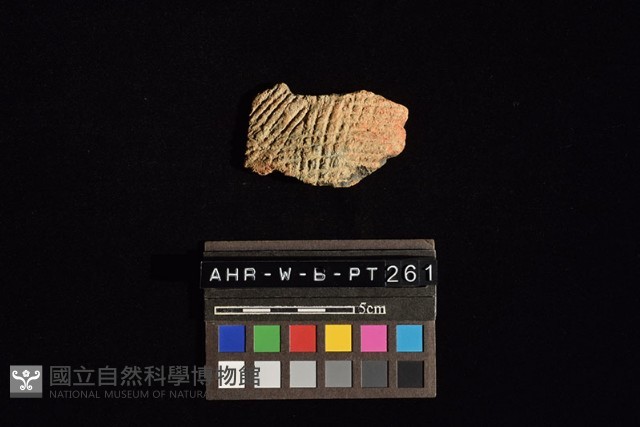 陶片藏品圖，第3張