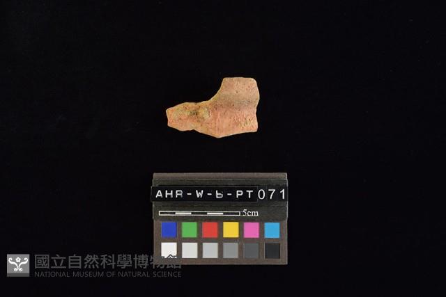 陶罐藏品圖，第3張