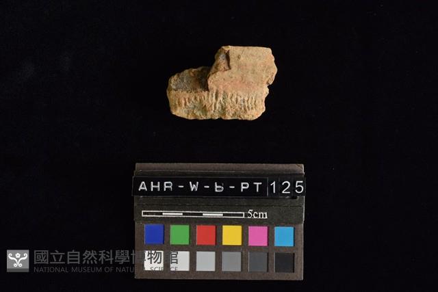 陶罐藏品圖，第1張