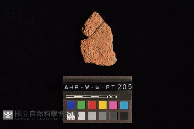 陶片藏品圖，第4張