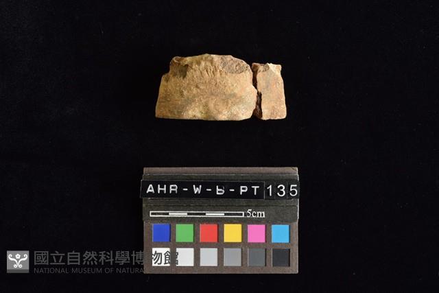 陶片藏品圖，第3張