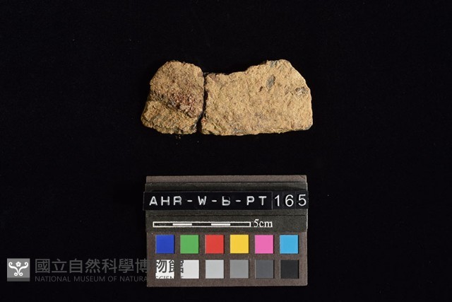 陶片藏品圖，第3張