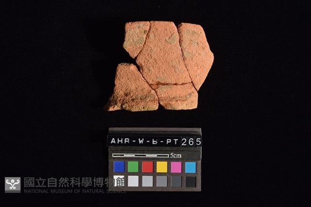 陶罐藏品圖，第3張