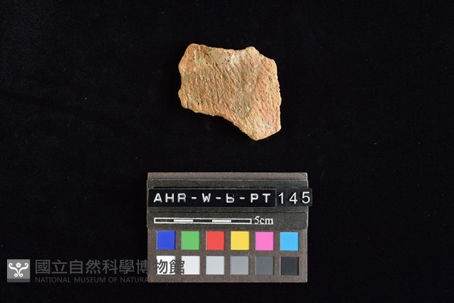 陶片藏品圖，第4張
