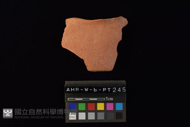 陶片藏品圖，第1張