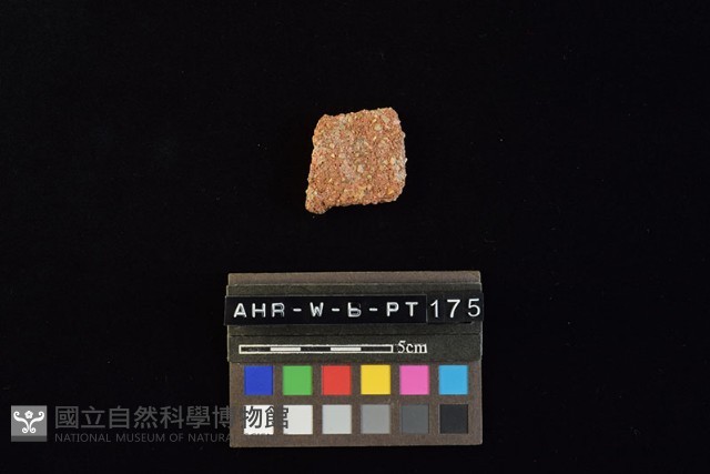 陶片藏品圖，第3張