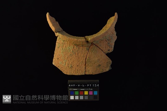 陶罐藏品圖，第3張