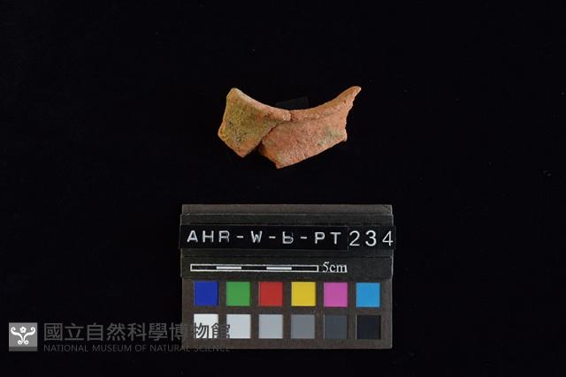 陶罐藏品圖，第3張