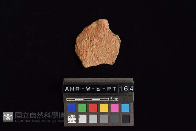 陶片藏品圖，第3張