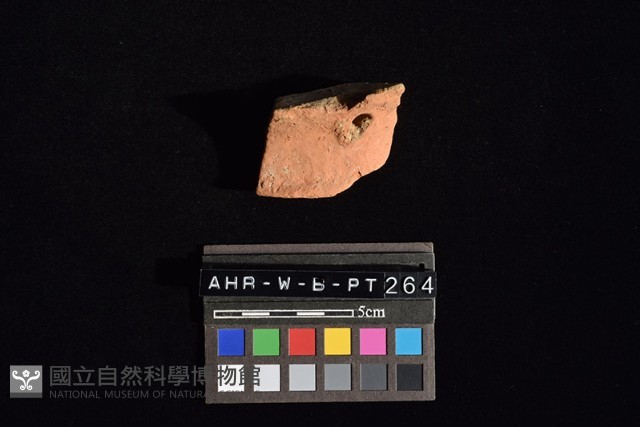 陶片藏品圖，第3張