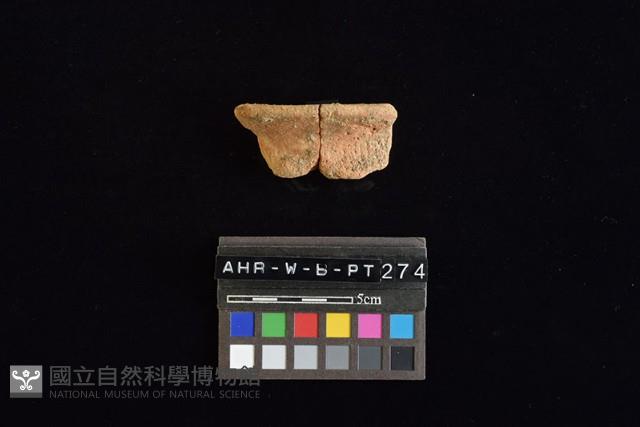 陶罐藏品圖，第3張