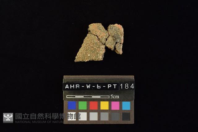 Accession Number:AHR-W-b-PT184 Collection Image, Figure 3, Total 4 Figures