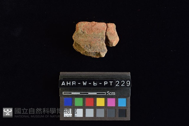 陶罐藏品圖，第4張