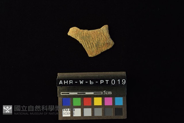 陶片藏品圖，第4張