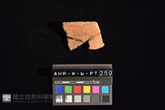 陶片藏品圖，第1張