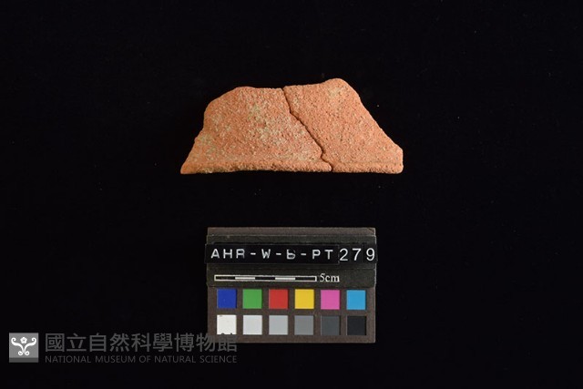 陶片藏品圖，第1張