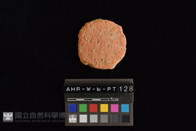 陶片藏品圖，第3張