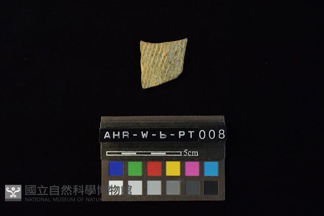 陶片藏品圖，第4張