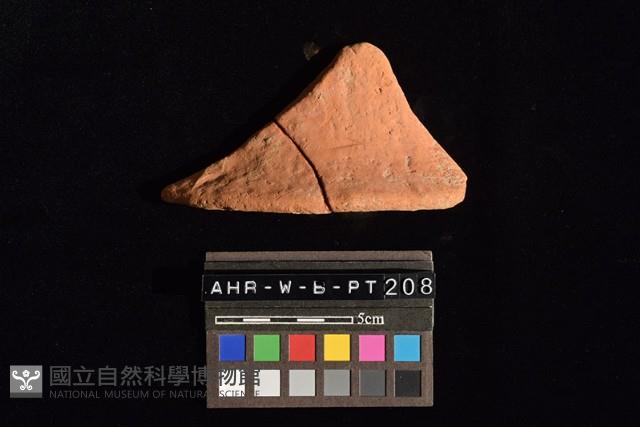 陶片藏品圖，第3張