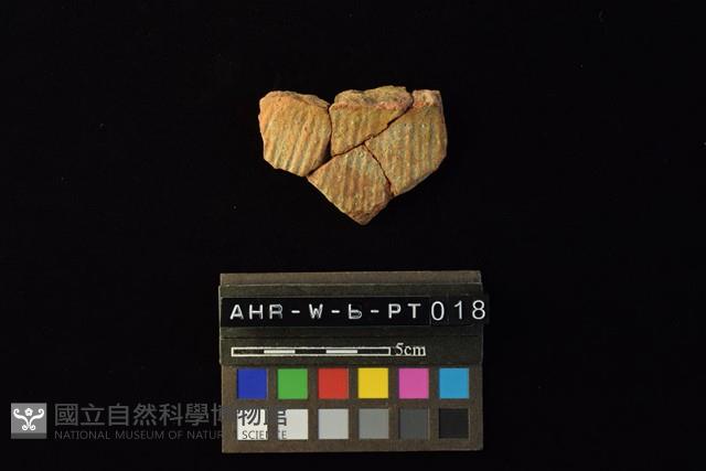 陶罐藏品圖，第4張