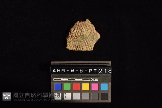 陶片藏品圖，第3張