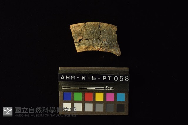 陶罐藏品圖，第3張