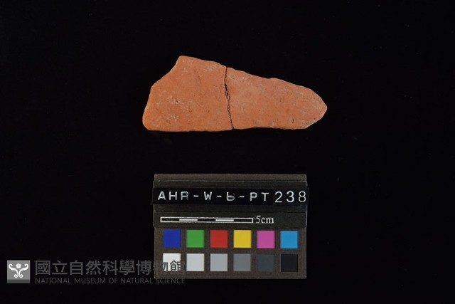 陶片藏品圖，第3張