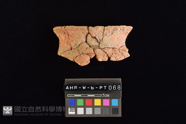 陶罐藏品圖，第3張