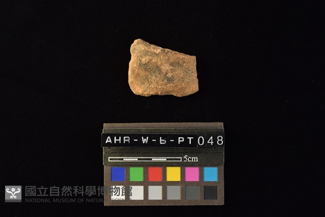 陶片藏品圖，第4張
