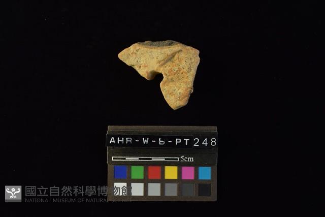 Accession Number:AHR-W-b-PT248 Collection Image, Figure 4, Total 4 Figures