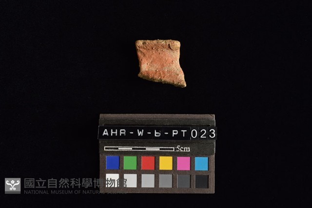 陶罐藏品圖，第3張