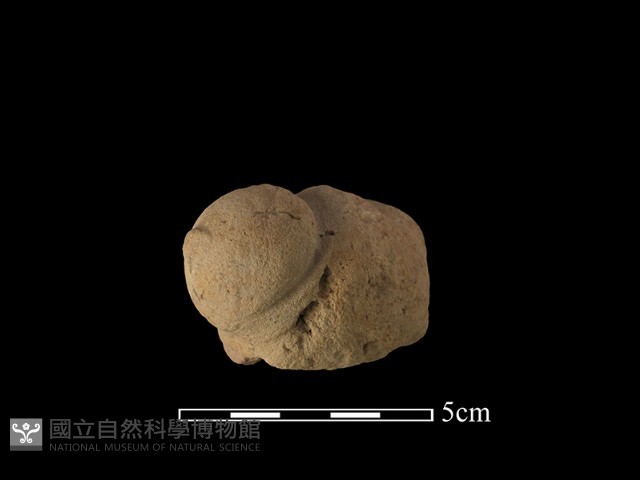斧鋤形器藏品圖，第1張