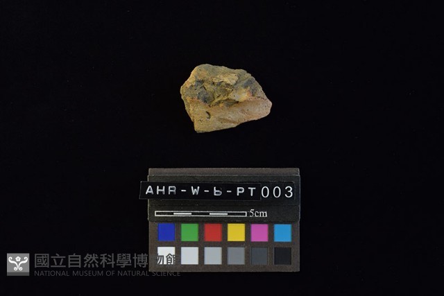 陶片藏品圖，第1張