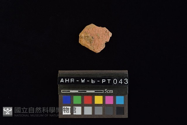陶片藏品圖，第3張