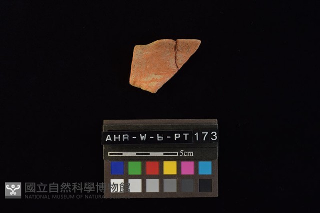 陶罐藏品圖，第4張
