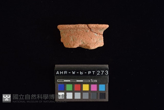 陶罐藏品圖，第4張