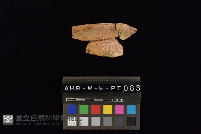 陶罐藏品圖，第3張