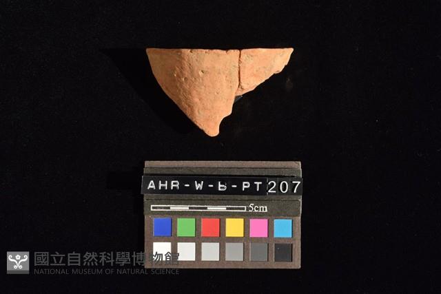 陶片藏品圖，第3張