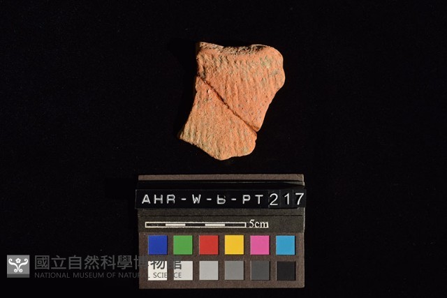 陶罐藏品圖，第1張