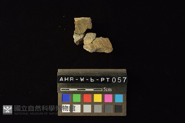 陶罐藏品圖，第3張