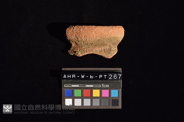 陶罐藏品圖，第3張