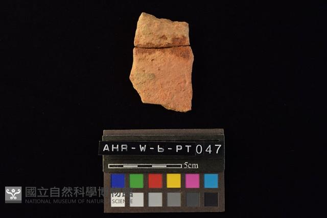 陶片藏品圖，第4張