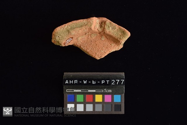 陶片藏品圖，第3張